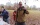 Rando Beaujolais du 21 nov. 2021