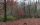 Rando Beaujolais du 21 nov. 2021